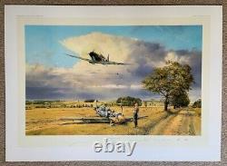 Robert Taylor VICTOIRE D'ÉTÉ Spitfire RAF Bataille d'Angleterre Impression d'Art de l'Aviation