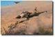 Un Mig Abattu Par Robert Taylor Mirage Israeli Air Force Giclee Toile Ed